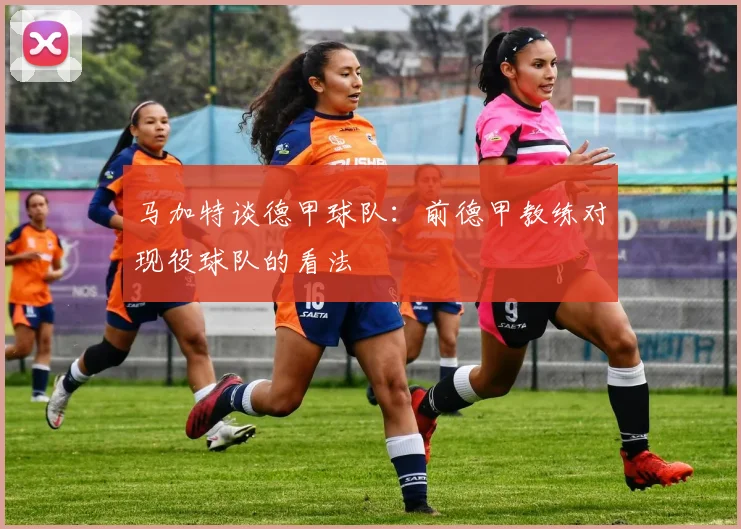 马加特谈德甲球队：前德甲教练对现役球队的看法