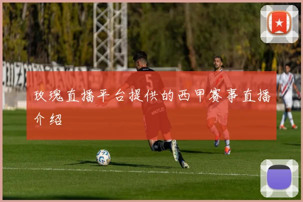 玫瑰直播平台提供的西甲赛事直播介绍
