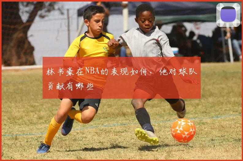 林书豪在NBA的表现如何，他对球队贡献有哪些