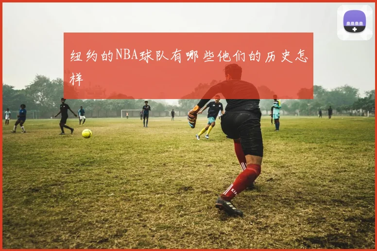 纽约的NBA球队有哪些他们的历史怎样