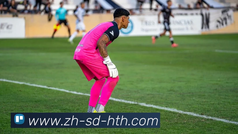 华体会登录入口发展历程